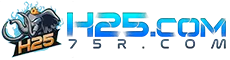 h52 สล็อต
